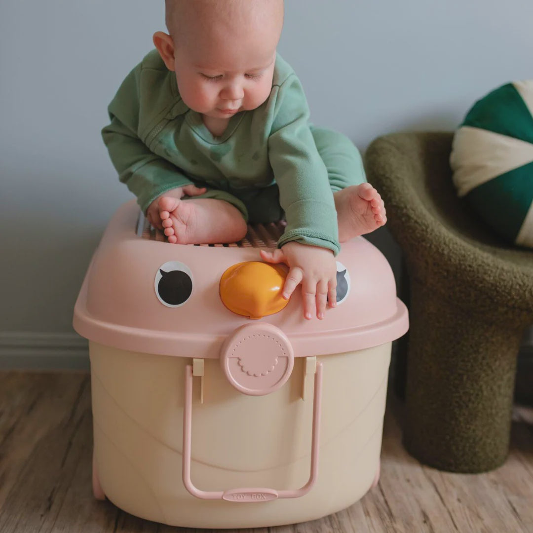Cowrie & Conch - Ride A Long - Tweet Tweet - Cotton Candy