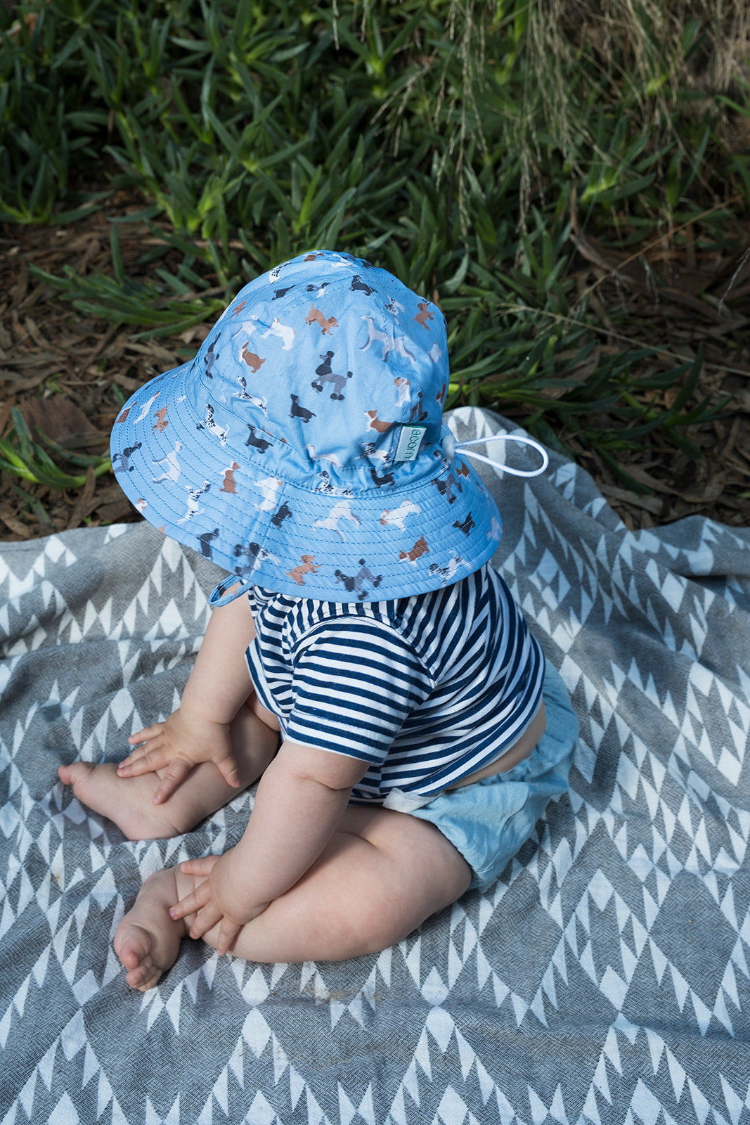 Acorn - Central Park Doggies Wide Brim Infant Hat