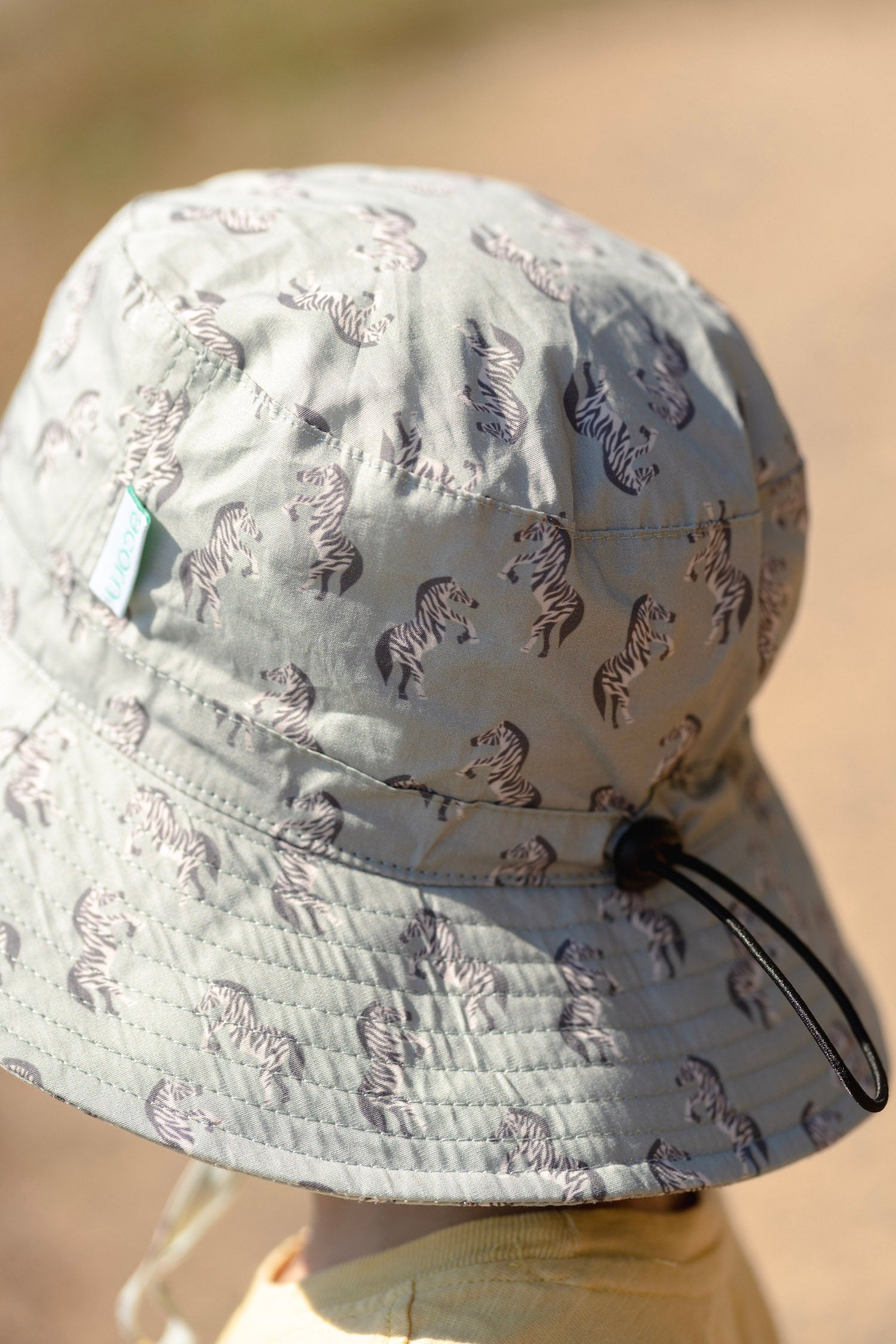Acorn - Dancing Zebra Bucket Hat