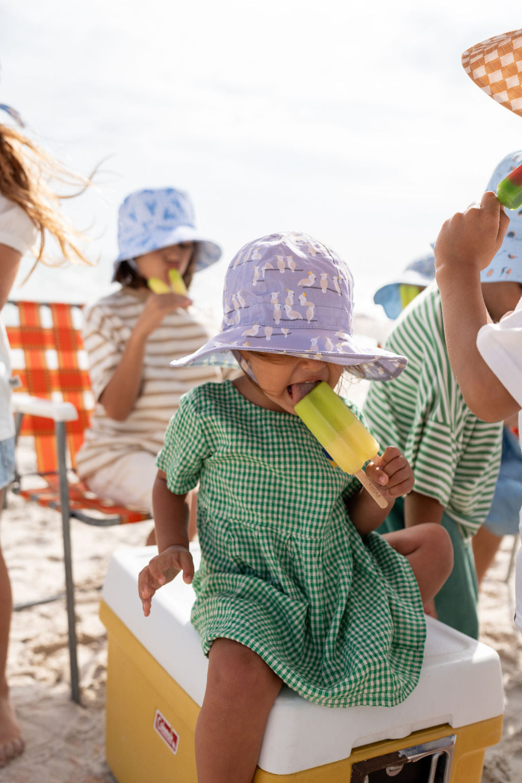 Acorn - Cockatoo Wide Brim Sun Hat