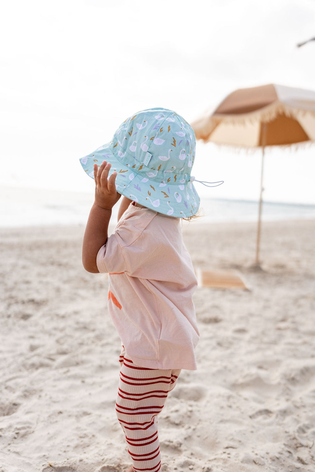 Acorn - Swans Wide Brim Sun hat