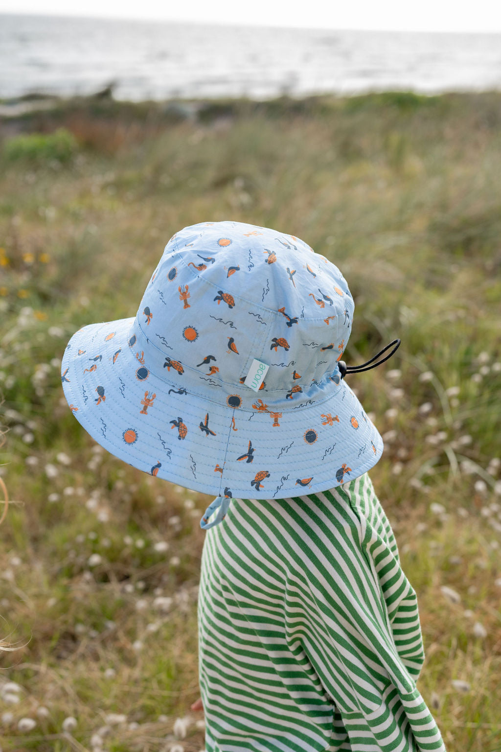Acorn - Sea Life Wide Brim Bucket Hat