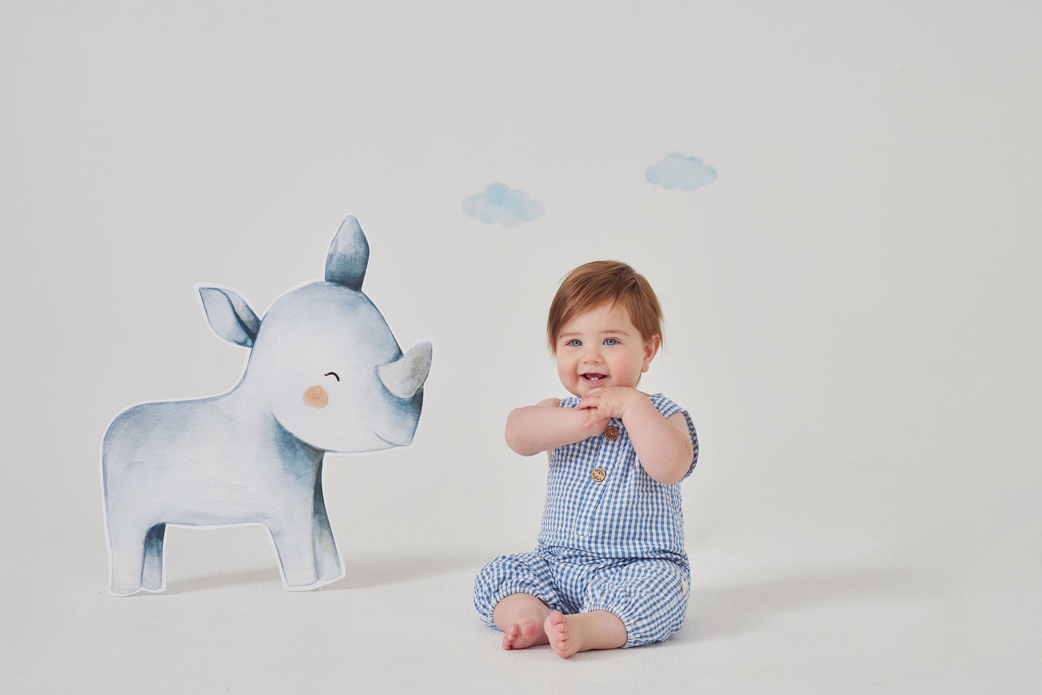 Tiny Twig - Organic Cotton Playsuit - Blue Gingham