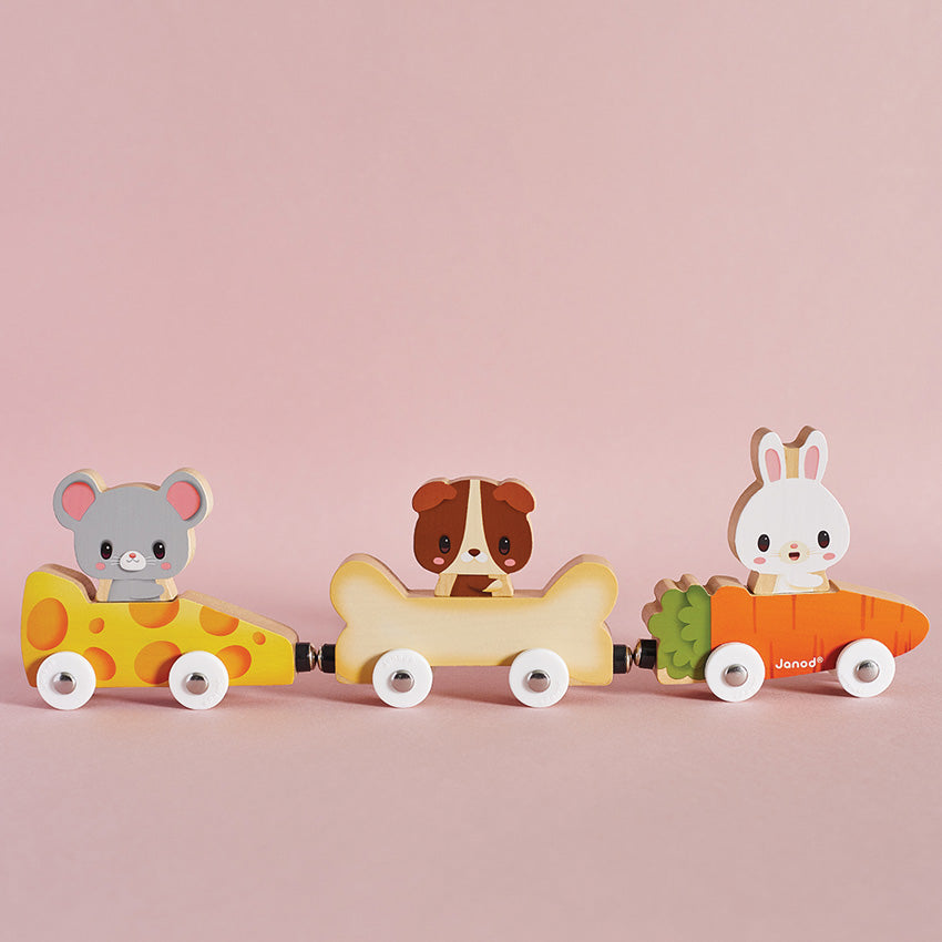 Janod - Magnetic Pet Cars