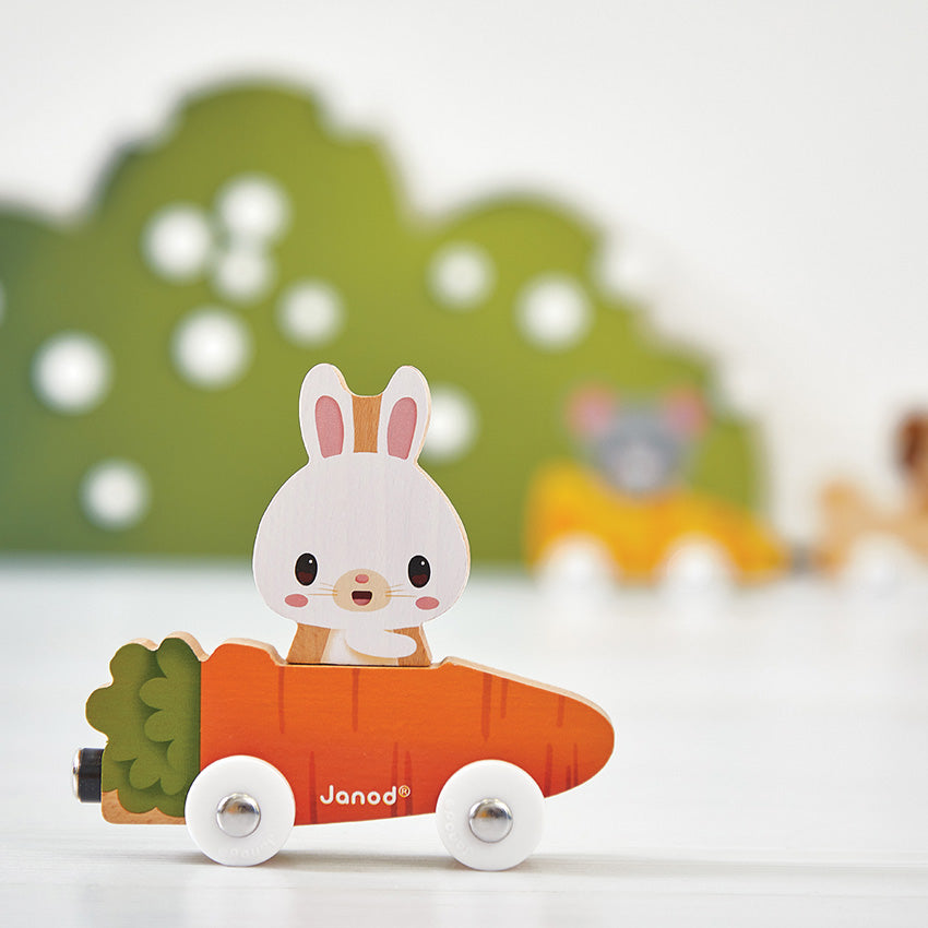 Janod - Magnetic Pet Cars