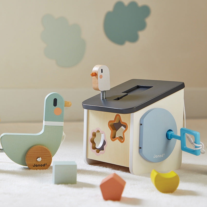 Janod - Cocoon Bird House Shape Sorter