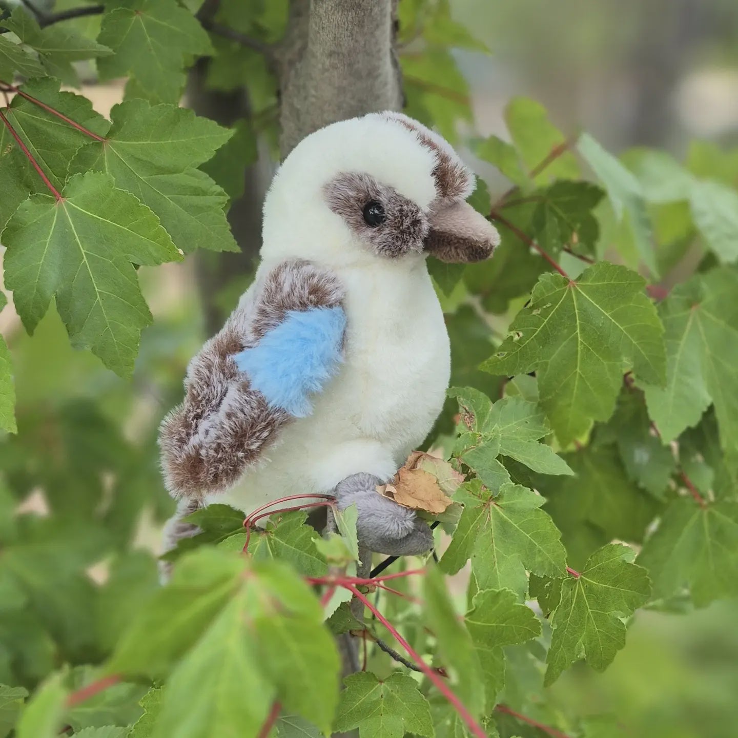 Petite Vous - Kookie the Kookaburra Soft Toy