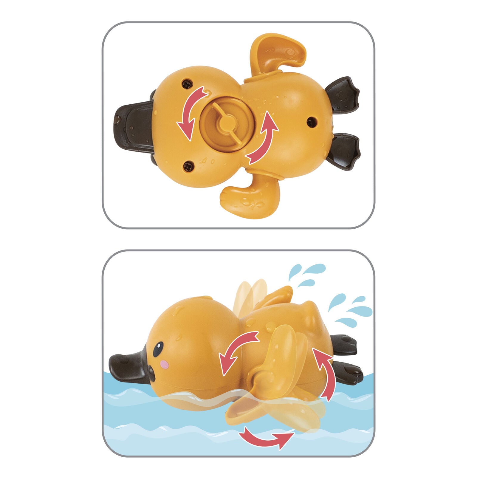 Tiger Tribe - Bath Racers - Platypuses