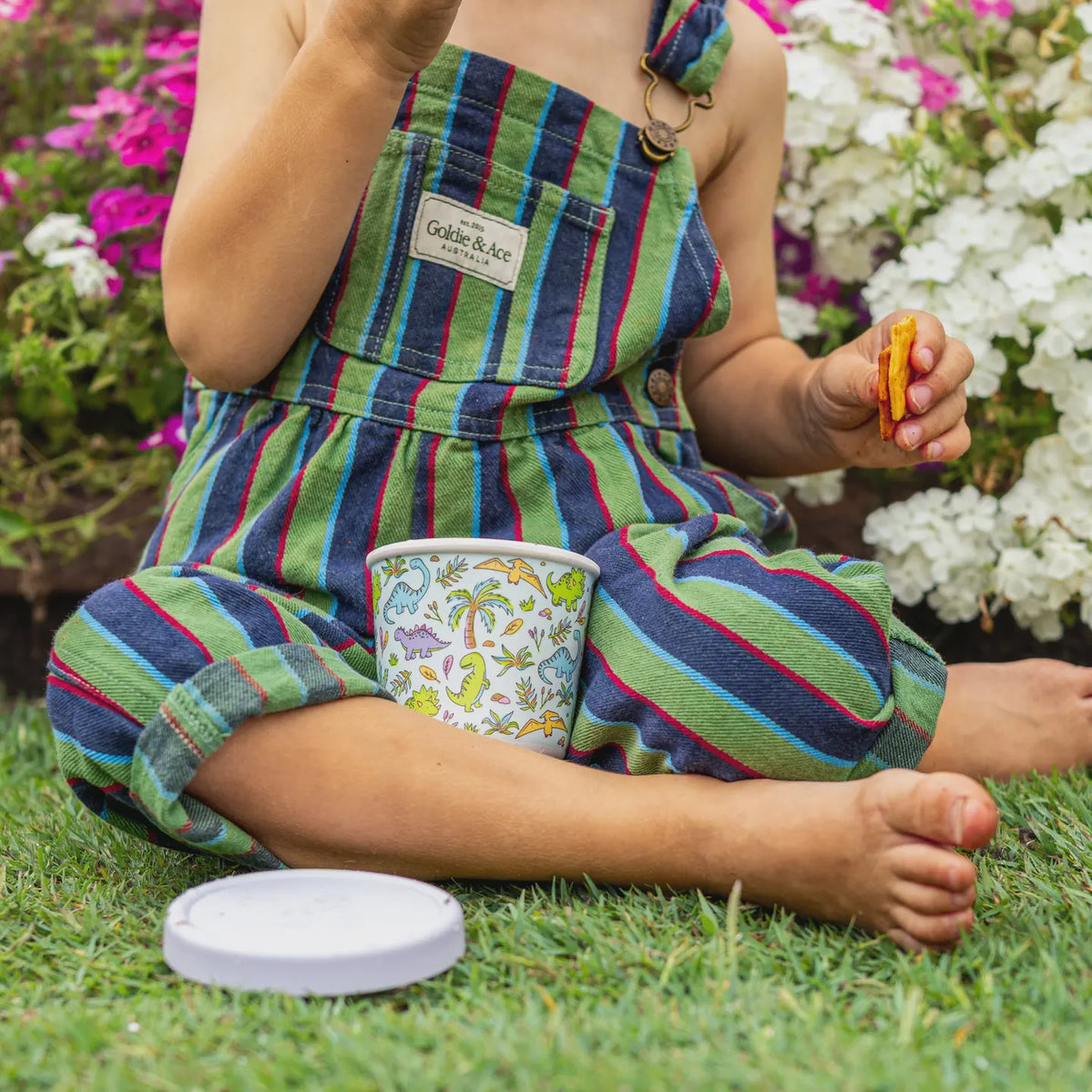 BBcino - Snack-A-Saurus Bamboo-Based Snack Pot