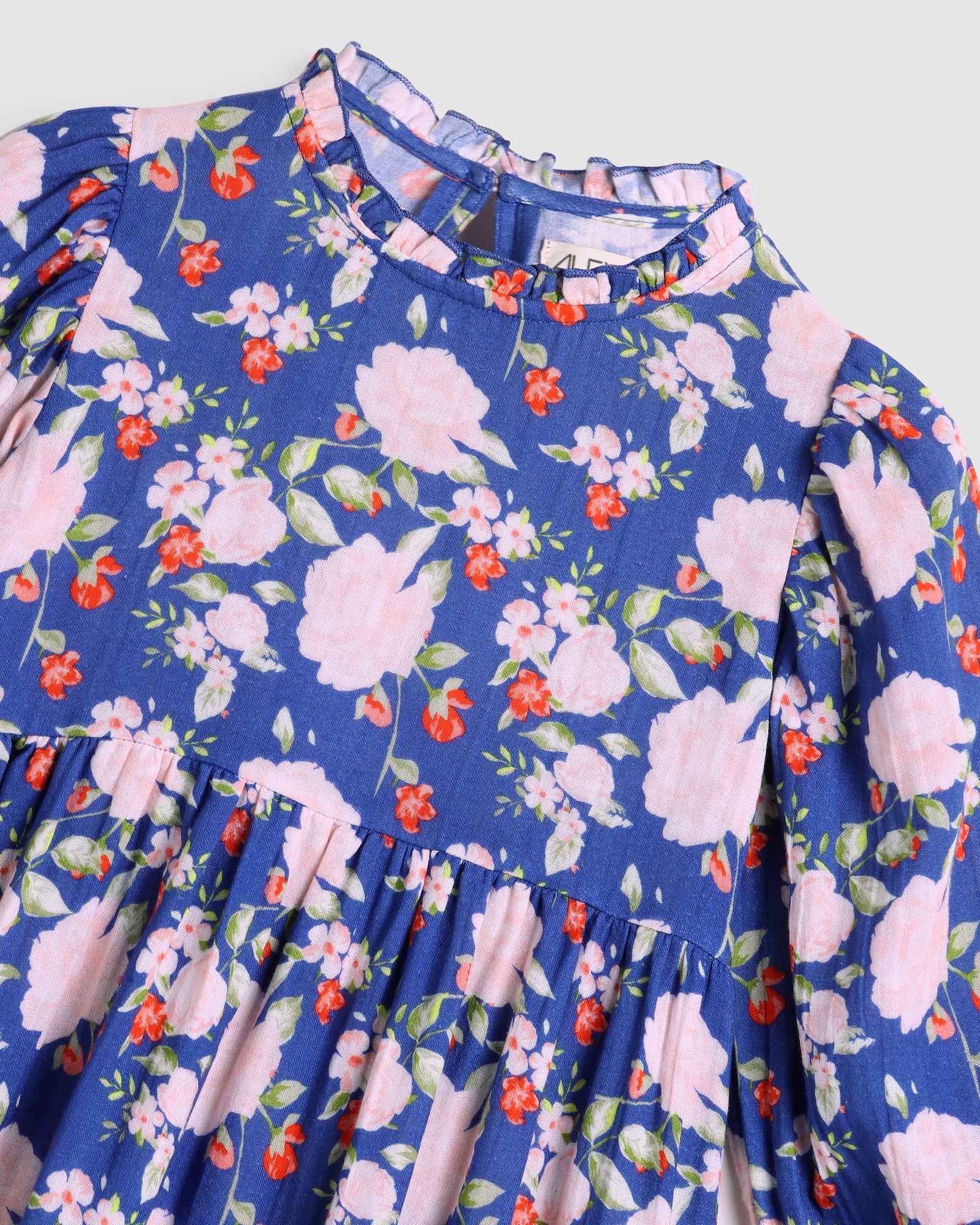 Alex & Ant - Sissy Dress - Fabulous Blooms Blue