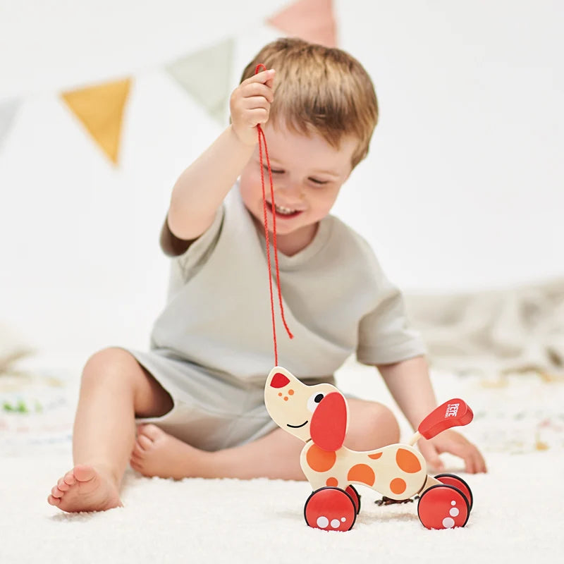 Hape - Pepe Pull Along