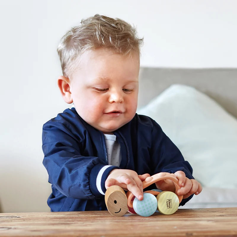 Hape - Turbo Turtle