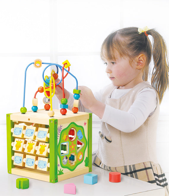 EverEarth - My First Multi-Play Activity Cube