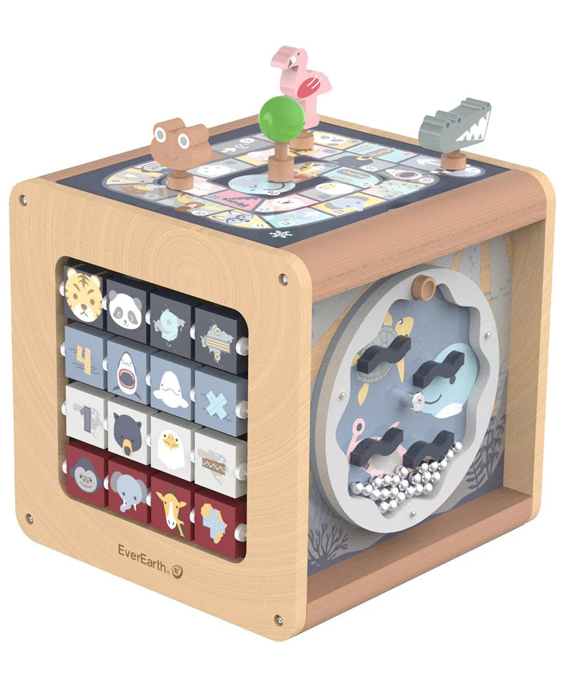 EverEarth - 6 in 1 Wild Activity Cube