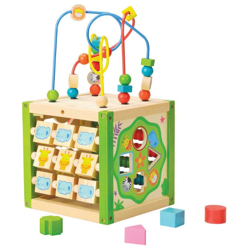 EverEarth - My First Multi-Play Activity Cube