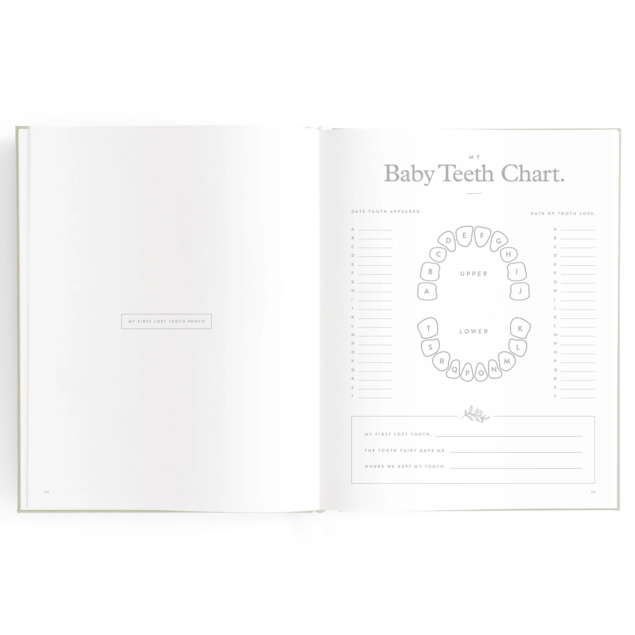 Fox & Fallow -  Baby Book - Pistachio