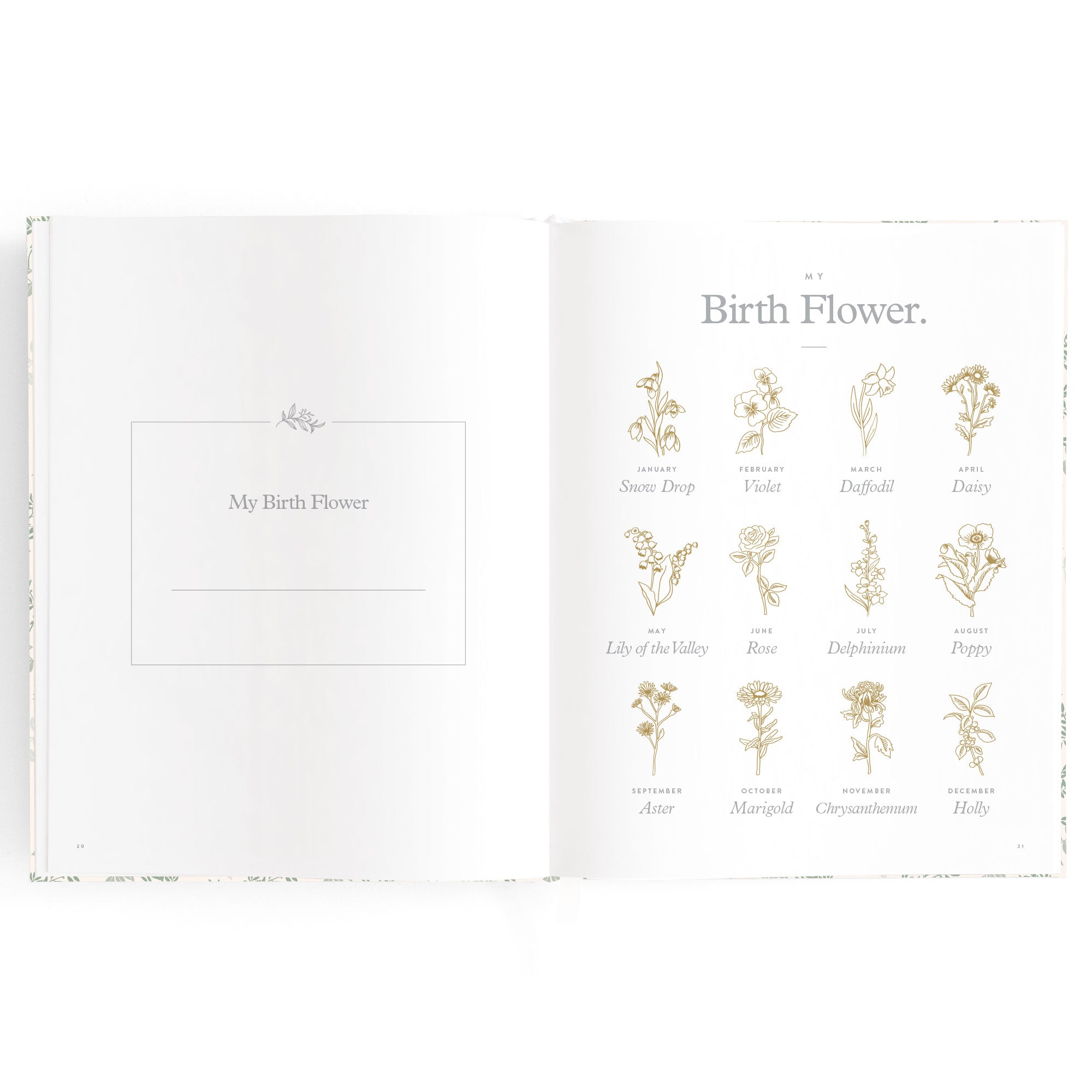 Fox & Fallow -  Baby Book - Cypress