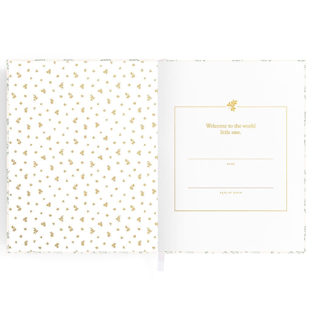 Fox & Fallow -  Baby Book - Petal Stripe
