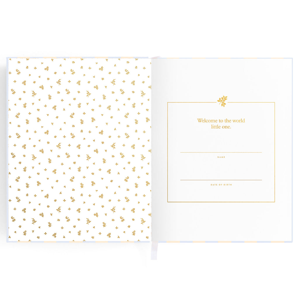 Fox & Fallow -  Baby Book - Cloud Stripe