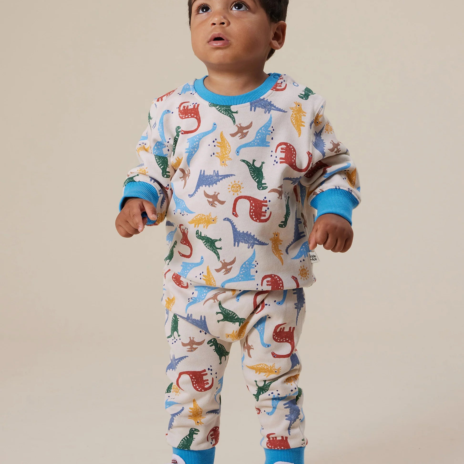 Goldie & Ace - Dino-Mite Relaxed Terry Sweater