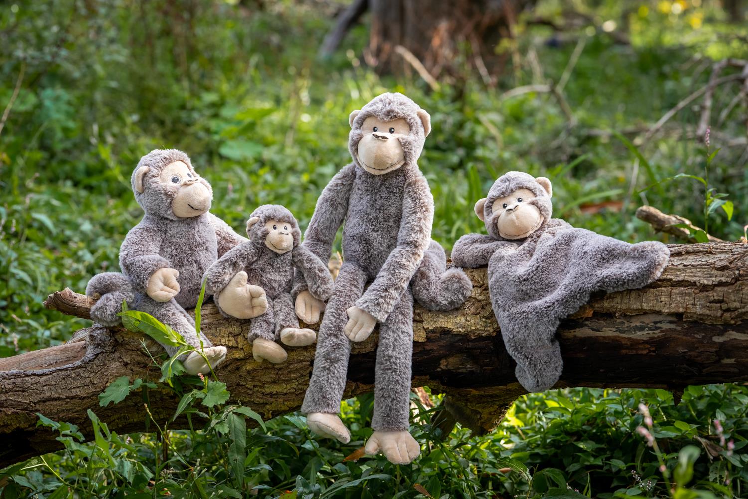 Nana Huchy - Mani the Monkey Hoochy Coochi