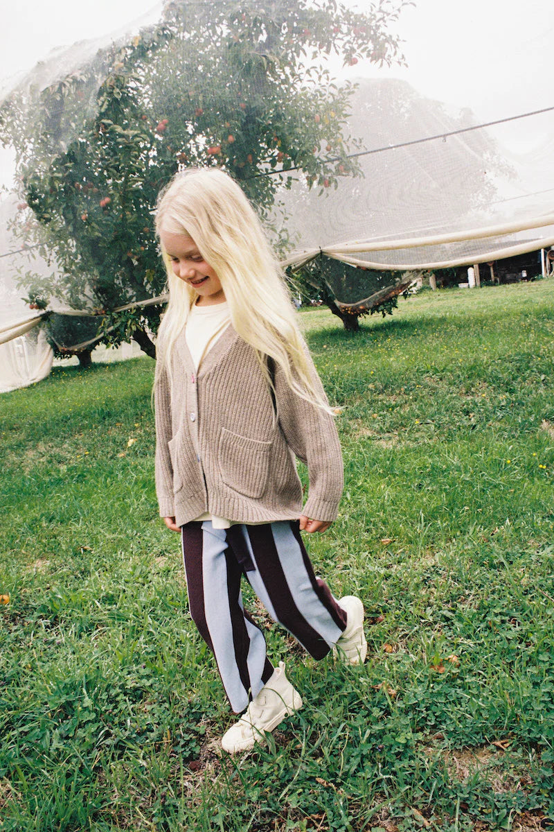 Grown - Organic Striped Knit Pants - Plum & Haze