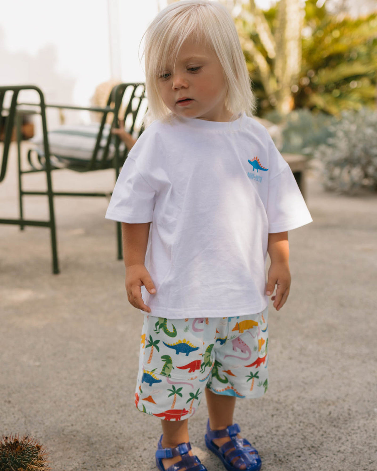 Walnut Melbnourne - Felix Tee - Rainbow Dino