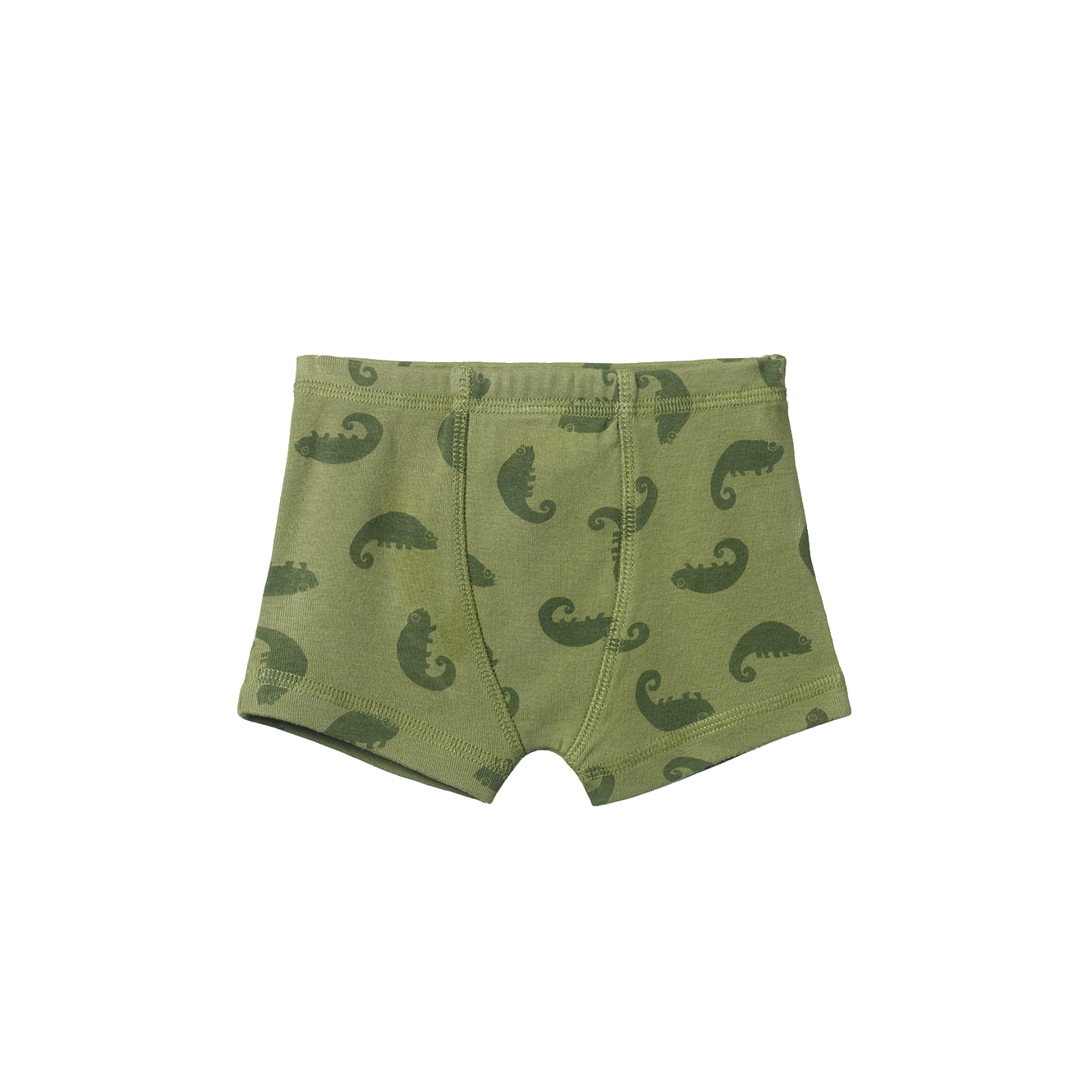 Nature Baby - Boys Boxer Shorts - Chameleon Print