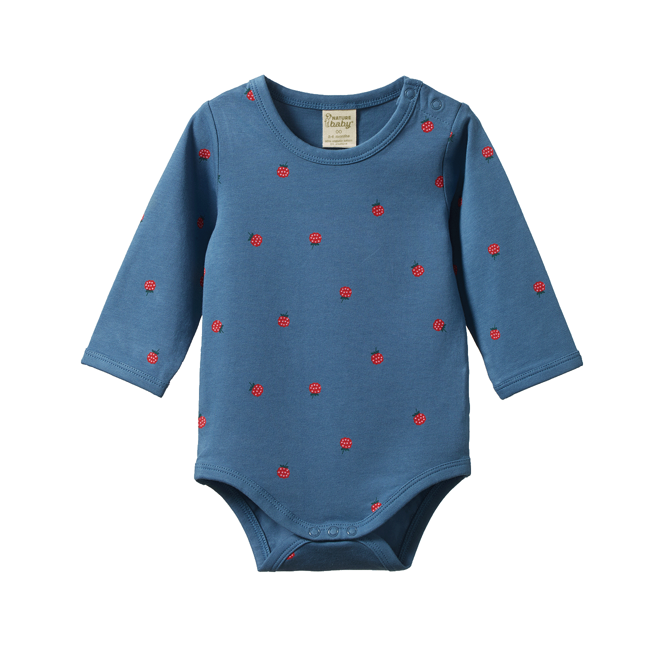Nature Baby -Stretch Jersey Cotton Bodysuit - Raspberry Blue Print