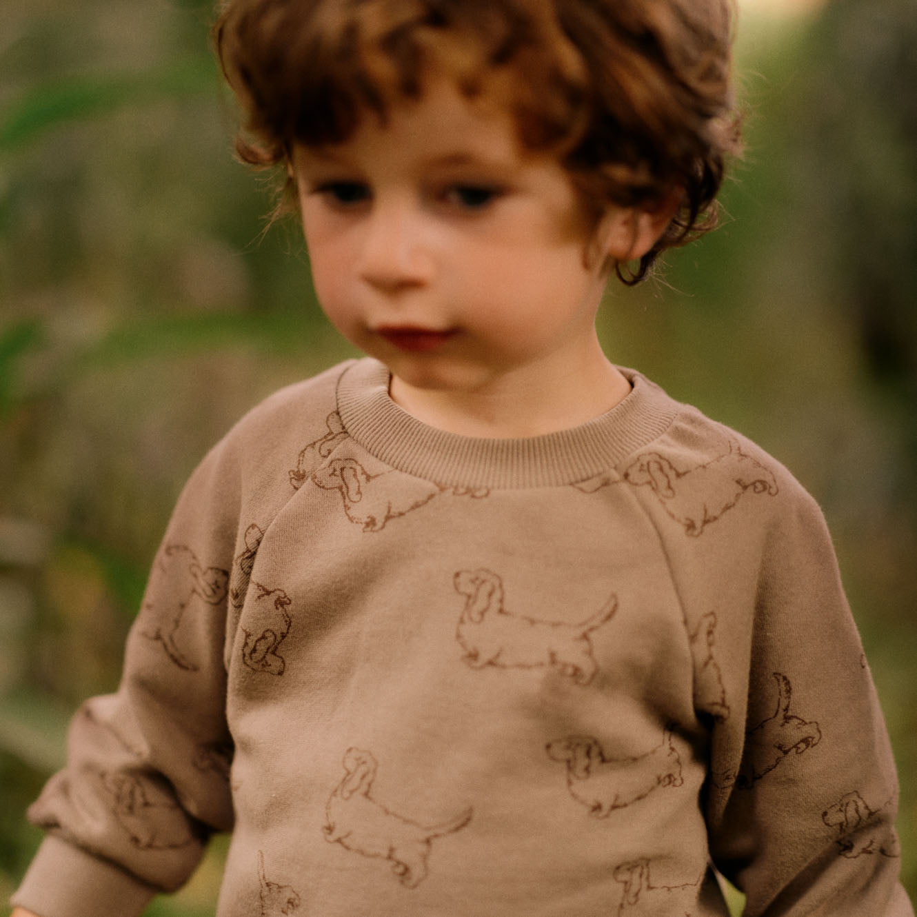 Nature Baby - Emerson Sweater - Happy Hounds