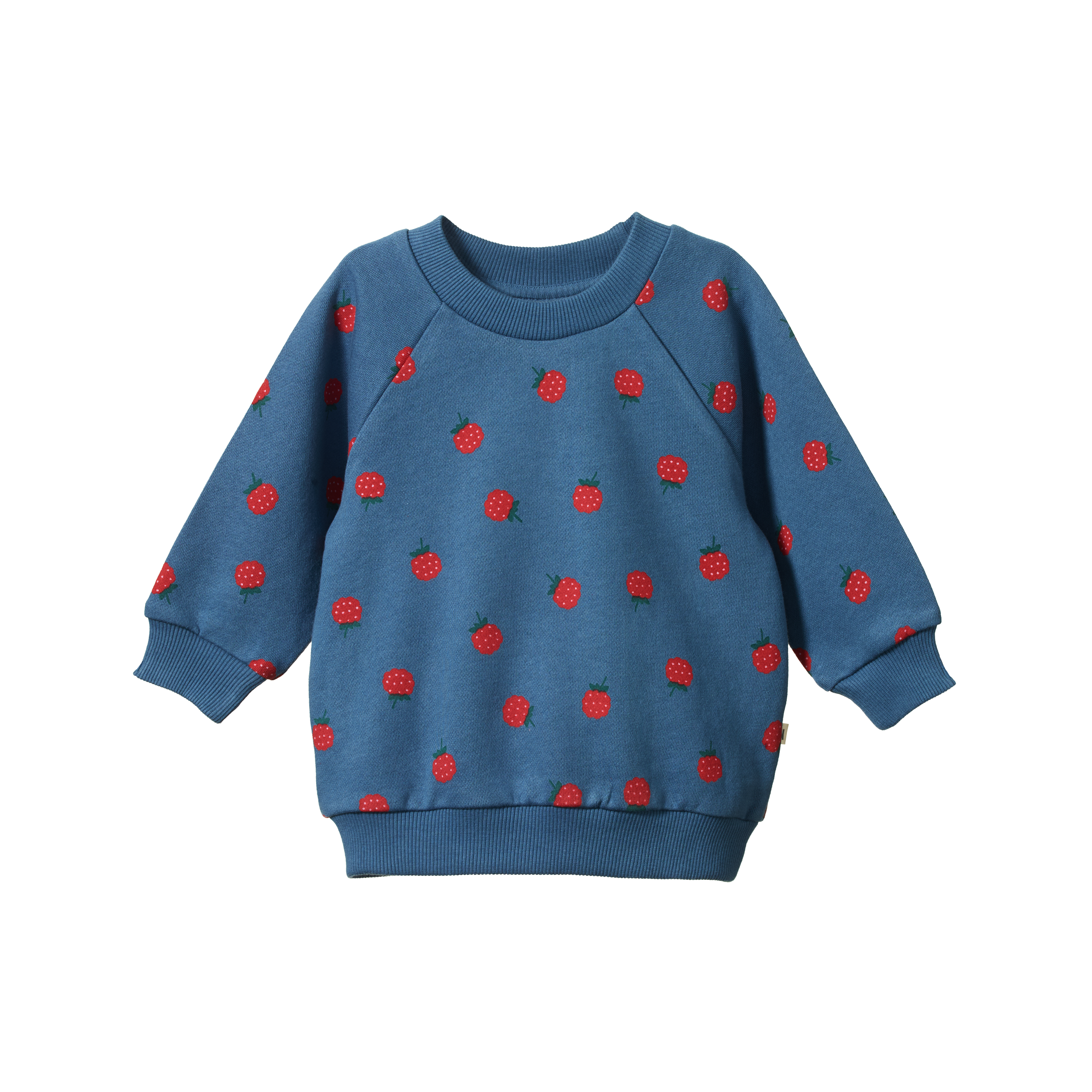 Nature Baby - Emerson Sweater - Raspberry Blue Print
