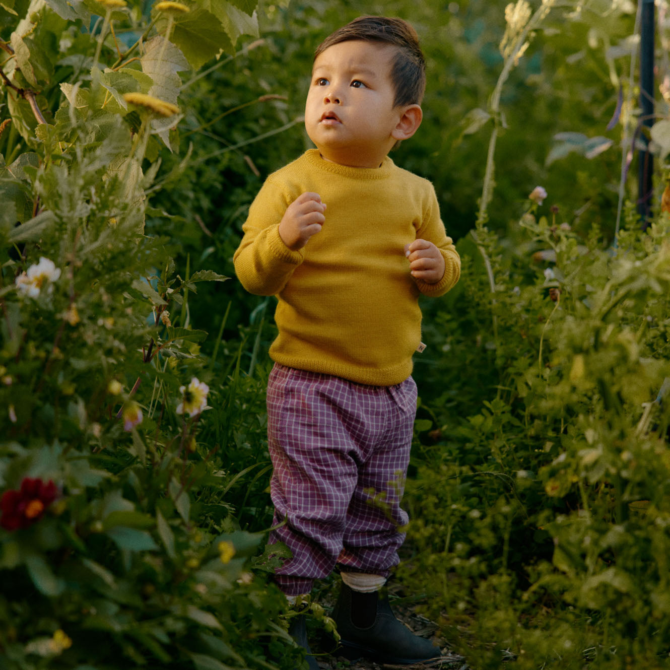 Nature Baby -Merino Knit Pullover - Yellow Sun