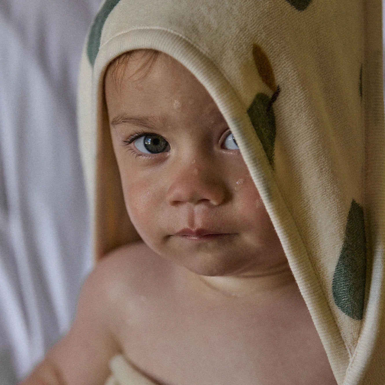 Nature Baby - Hooded Towel - Pear Print
