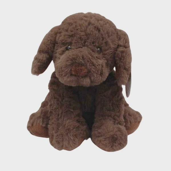 Petite Vous - Baxter the Labradoodle