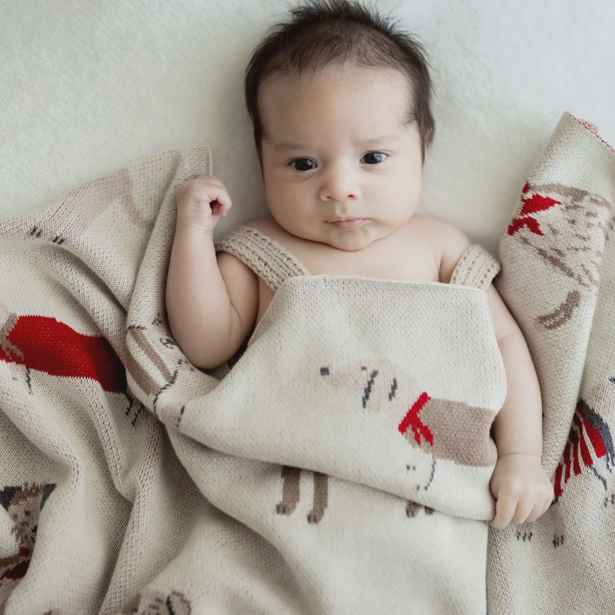 Di Lusso Living - Blanket - Puppy Snuggles