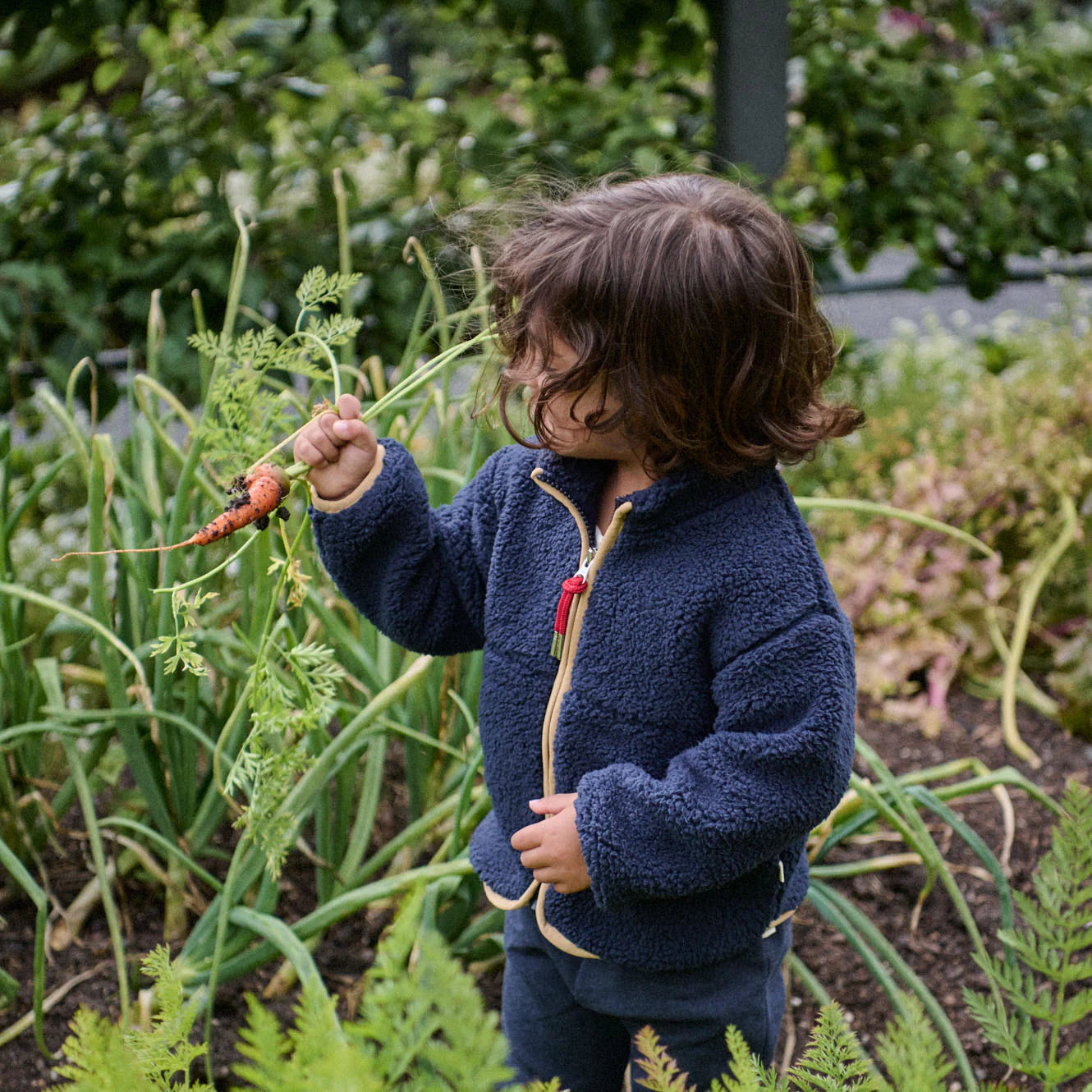 Nature Baby - Ranger Jacket - Navy