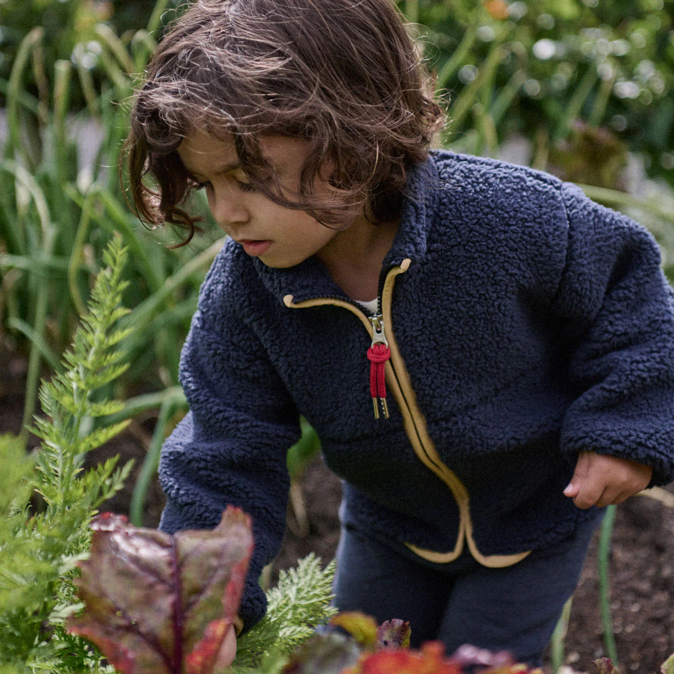 Nature Baby - Ranger Jacket - Navy
