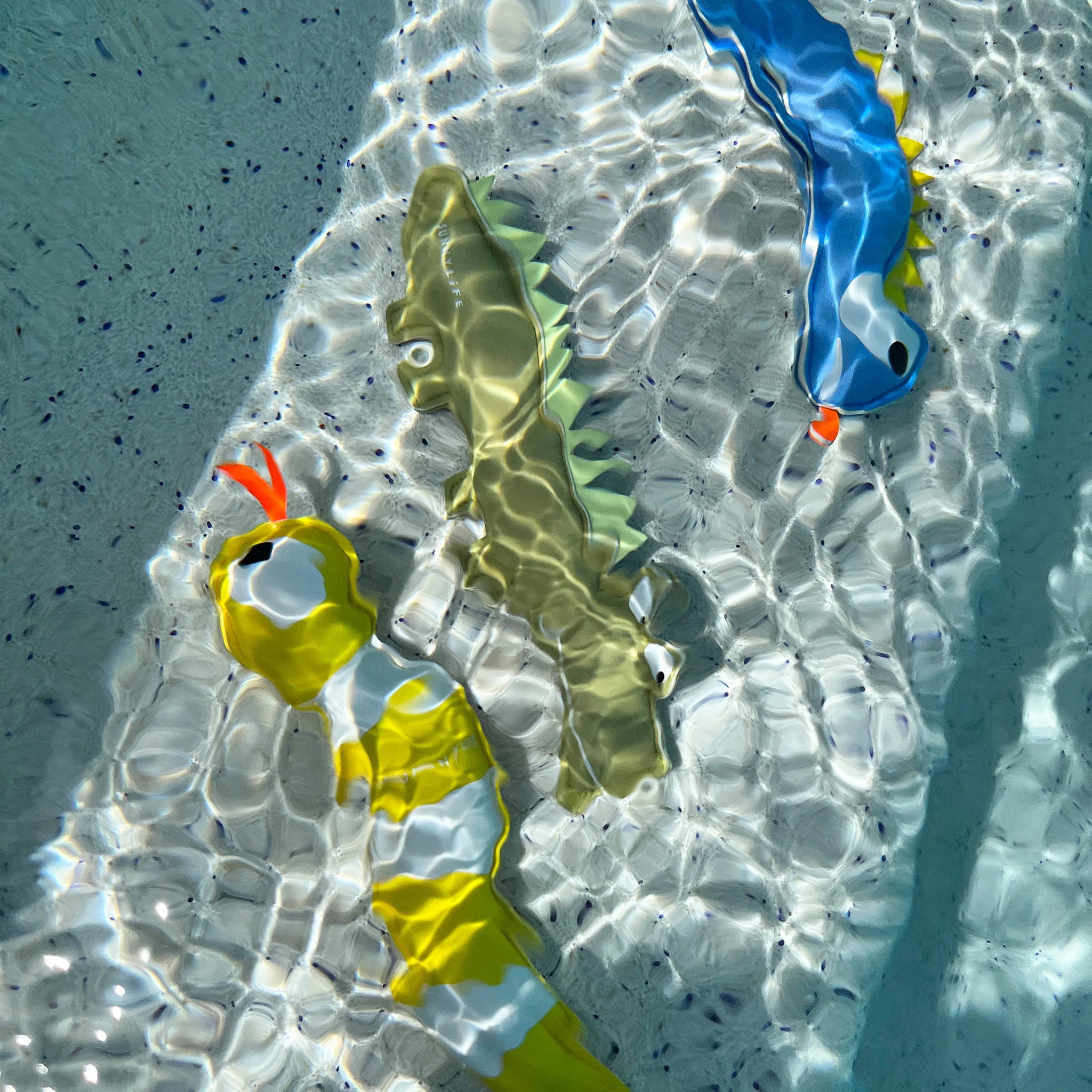 Sunnylife - Dive Buddies - Into the Wild Multi