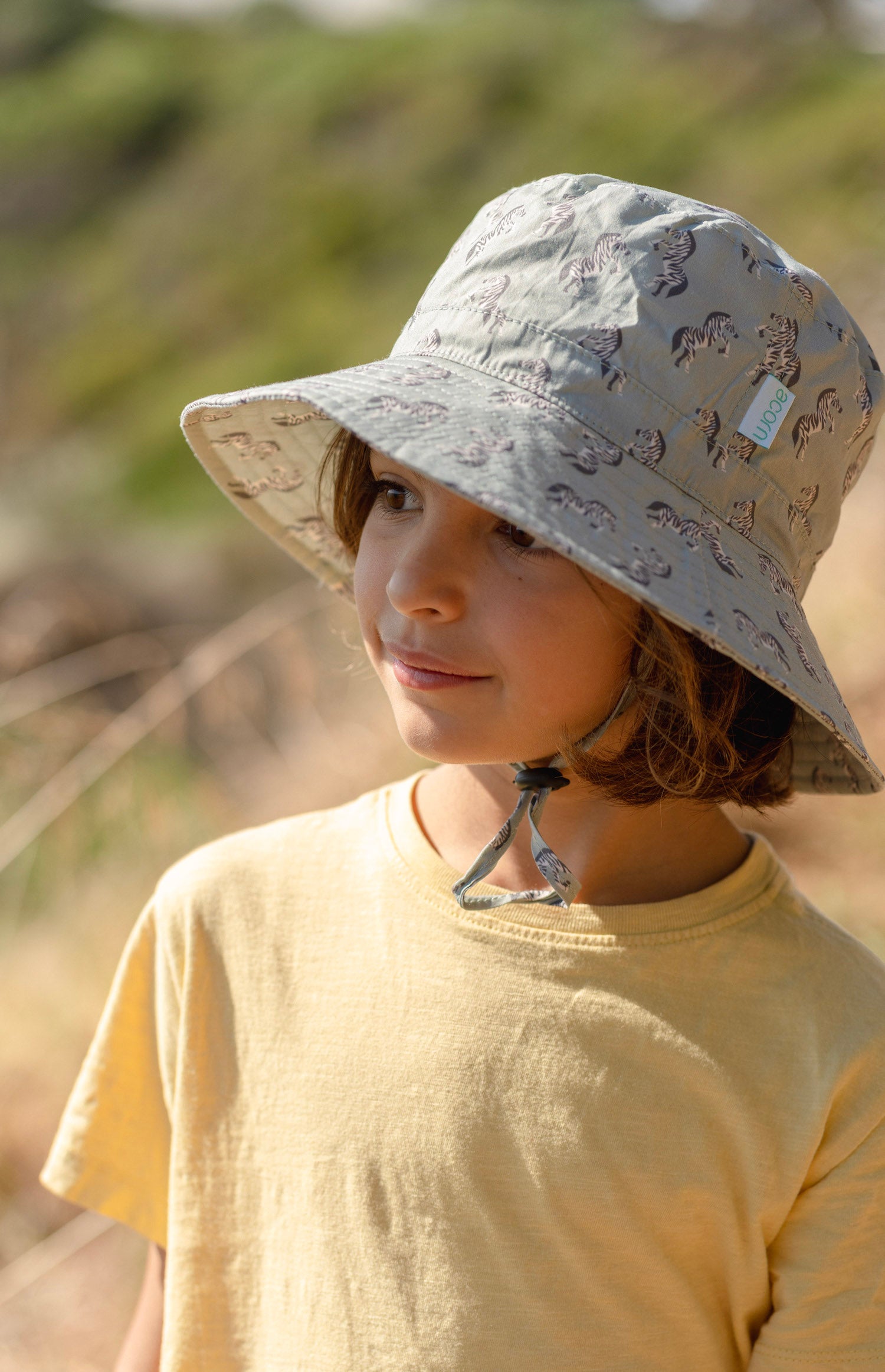 Acorn - Dancing Zebra Bucket Hat