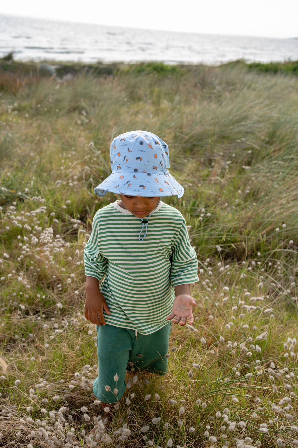 Acorn - Sea Life Wide Brim Bucket Hat