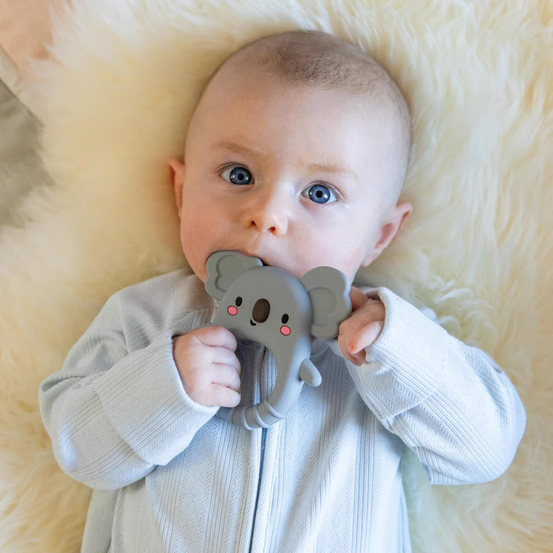 Tiger Tribe - Silicone Teether - Koala