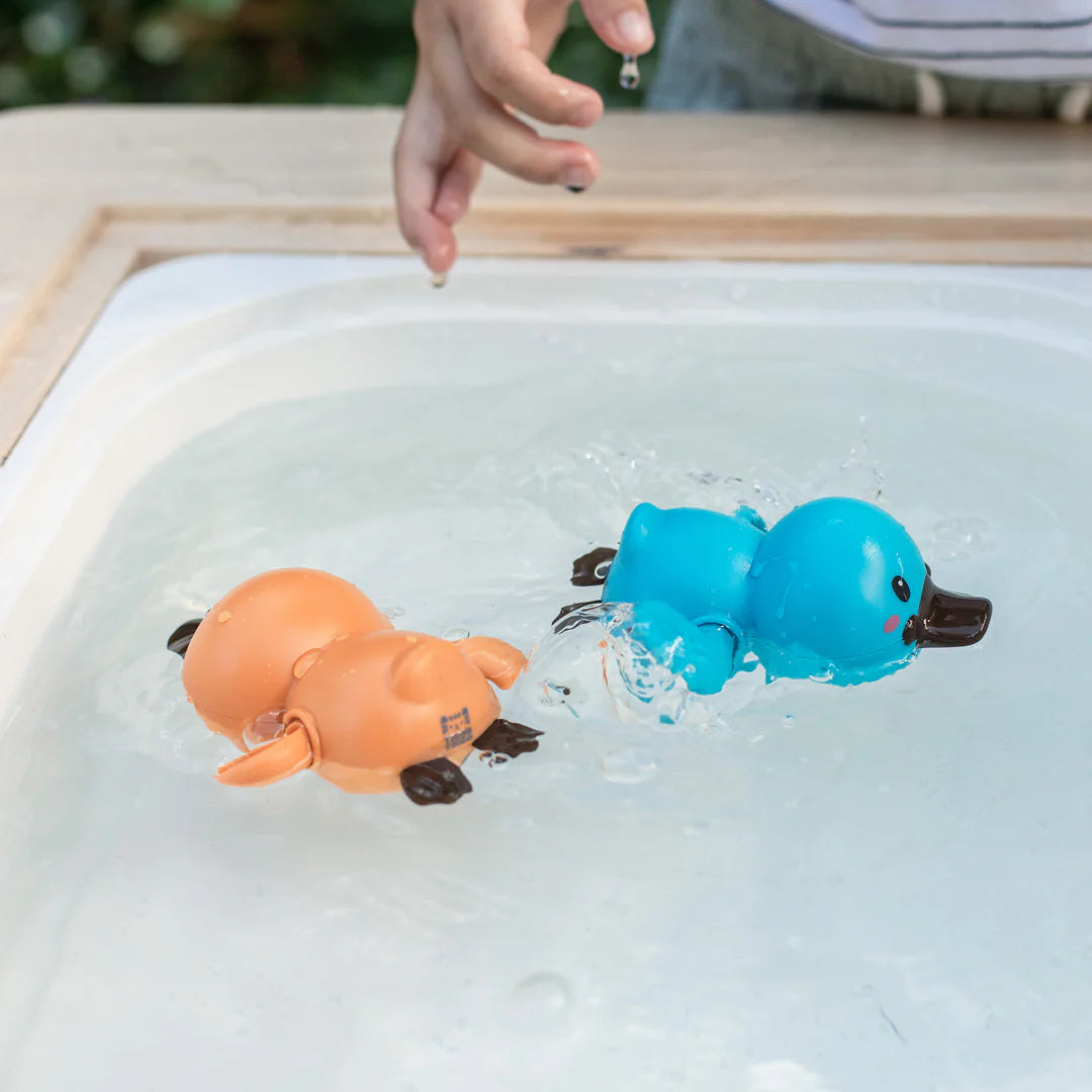 Tiger Tribe - Bath Racers - Platypuses