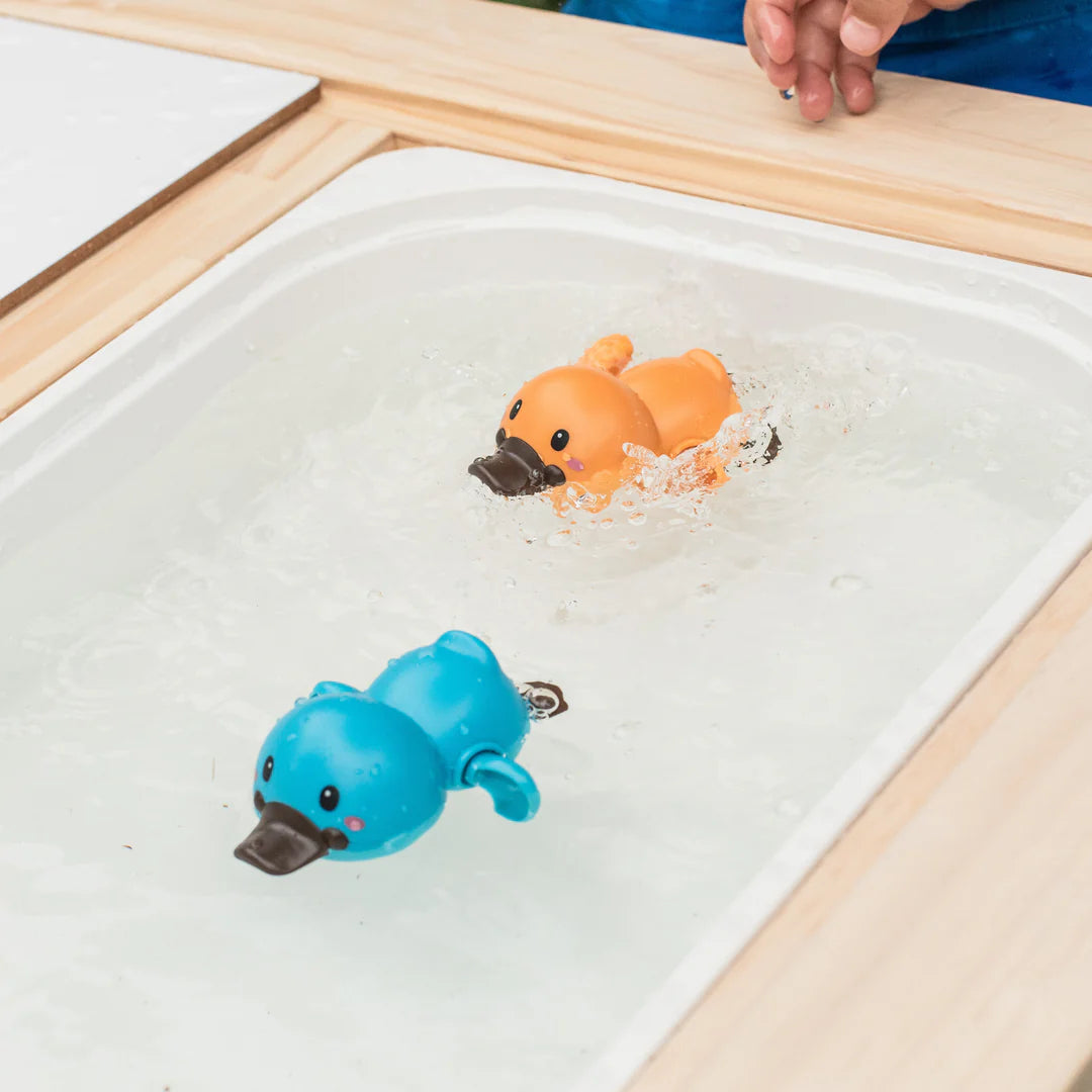 Tiger Tribe - Bath Racers - Platypuses