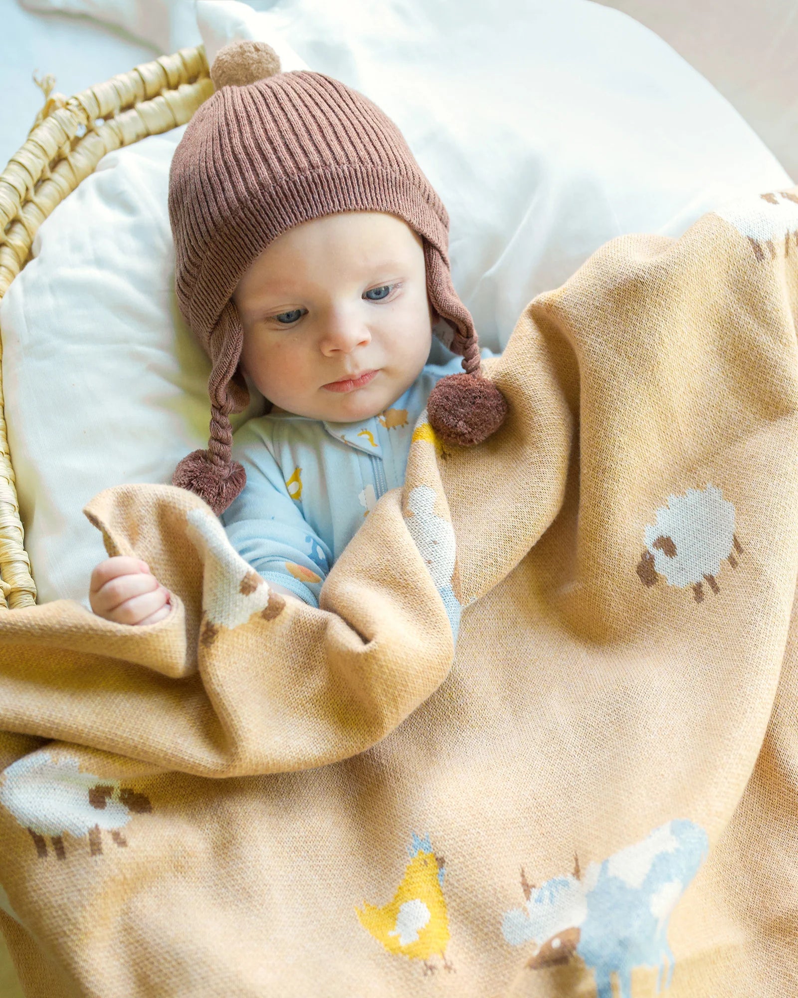 Toshi - Bobby Organic Earmuff Beanie - Peppercorn