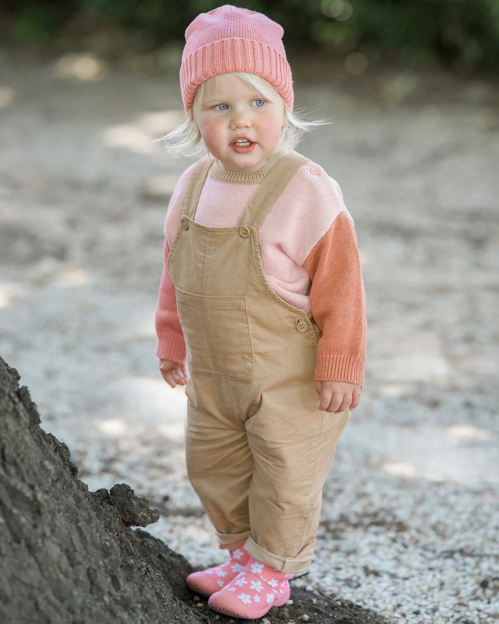 Toshi - Bobby Organic Pullover - Misty Rose