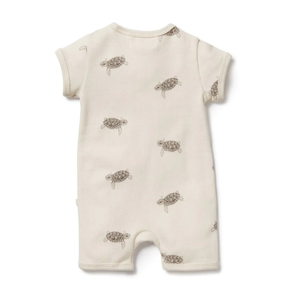Wilson & Frenchy - Tiny Turtle Organic Summer Zipsuit