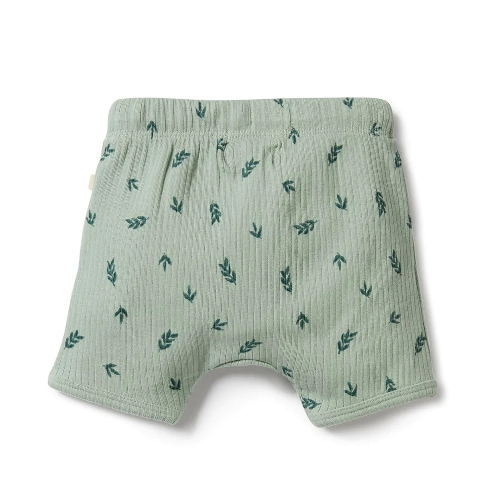 Wilson & Frenchy - Falling Leaf Organic Rib Short