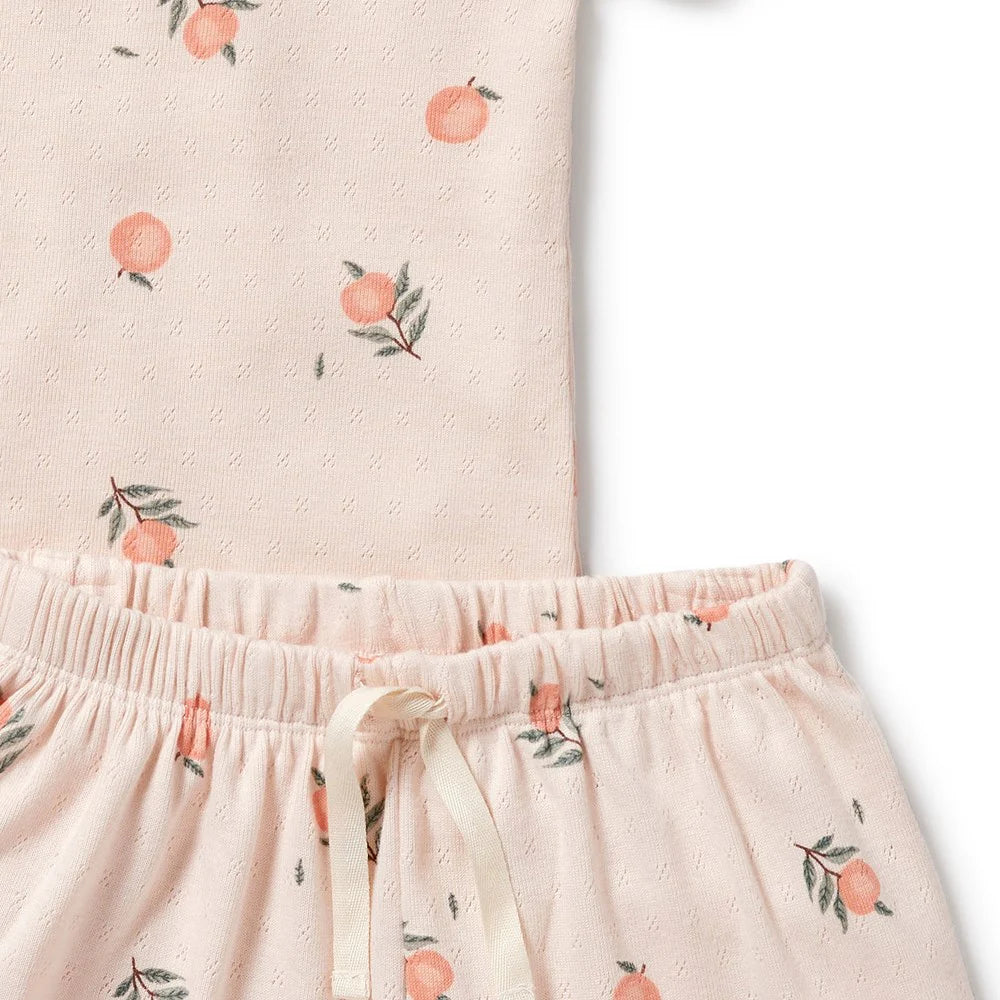 Wilson & Frenchy - Peaches Organic Pointelle Short Sleeved Pyjamas