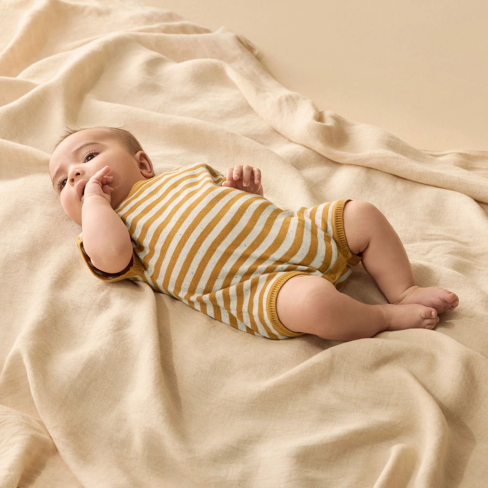 Wilson & Frenchy - Golden Wave Stripe Organic Knitted Growsuit