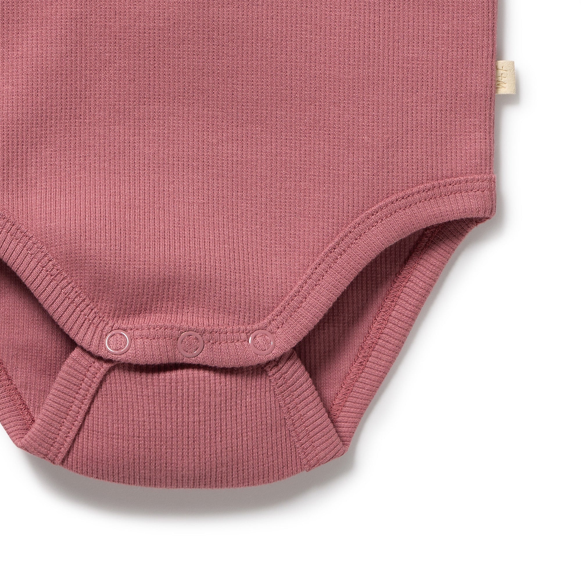 Wilson & Frenchy - Plum Organic Rib Long Sleeved Bodysuit